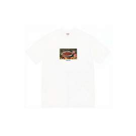 Picture of Supreme T Shirts Short _SKUSupremeS-2XLthtxS161499